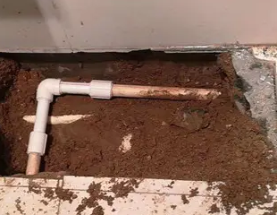 蒲县测漏水哪家好